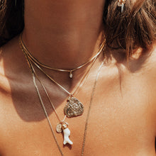 Load image into Gallery viewer, FALSE
