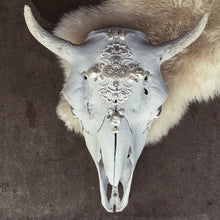 Load image into Gallery viewer, Crystal Coves Skull
